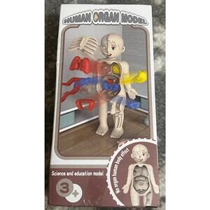 Human Body Educational Model Removeable Squishy Organs Leaqu (NWT)